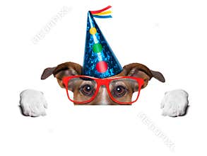 Birthday dog