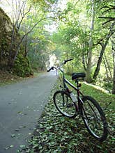 Bike trail into light