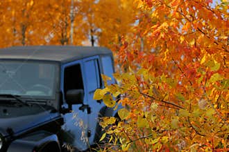 Fall Drive