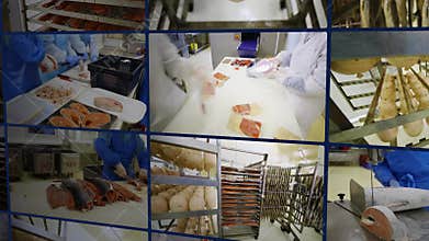 Several videos with the process of producing fish