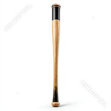 Light and dark wooden baseball bat upright on white background