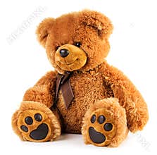 Toy teddy bear