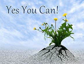 Yes You Can
