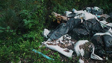 Dumping of plastic garbage in nature in the forest
