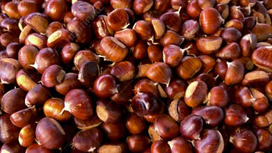 tracking shot on Chestnuts arranged