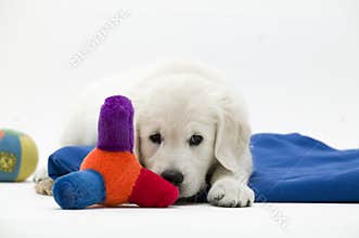 Playtime
