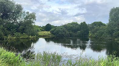 Calm summer lake with ducks and green trees