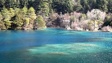 Jiuzhaigou sparking lake in winter