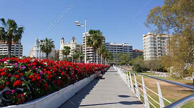 View of Valencia