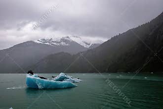 An iceburg floats adrift in the Endicott Arm Fjord in Alaska