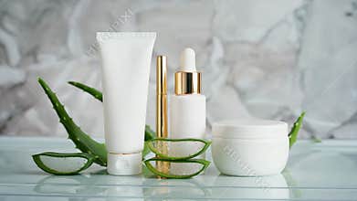 Aloe Vera Plants Fresh Gel Sliced Cosmetic Products Beauty Skincare Routine Natural Ingredients