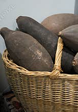 Fruit of the baobab is the fruit of the tree of life