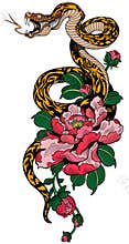 Snake and peony flower. Tattoo