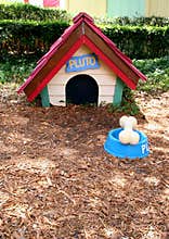 Pluto's dog house