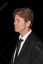 David Bowie in Profile at Vanity Fair Party for the 2008 Tribeca Film Festival