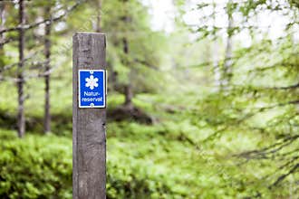 Swedish signpost for forest conservation