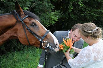 Bridal bouquet for the horse