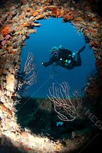 Diver on wreck