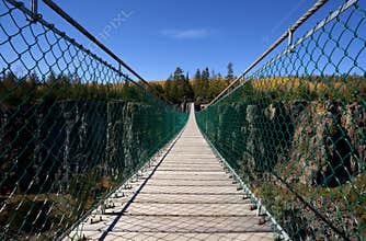Pedestrian Suspension Bridge