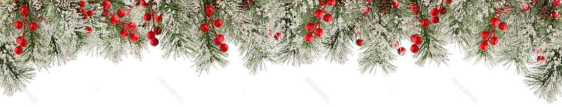 Spruce green Christmas branches with snow, red berries and cones as frame or border for winter design isolated on white background