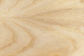 Wood texture ash