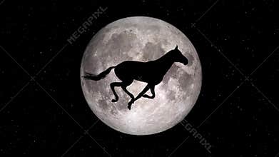 Black horse running silhouette on full moon background loop new quality unique animation dynamic joyful 4k video stock