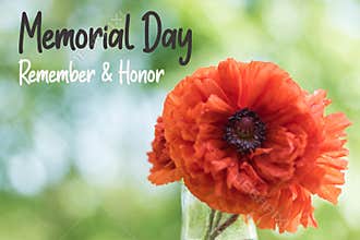 Red Poppy flower for Memorial Day Remember and Honor text