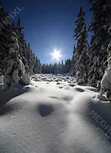 Winter landscape