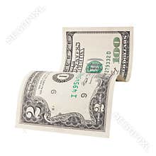 The investment