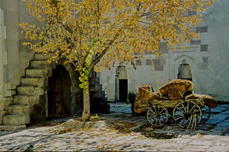 Golden autumn (Turkey)