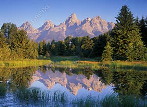 Morning Mountain Reflections