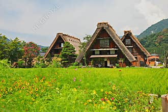 World heritage shirakawago gasshozukuri houses