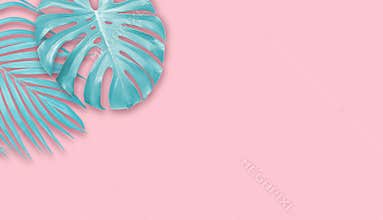 Tropical leaves on pink paper background with copy space Minimal summer banner