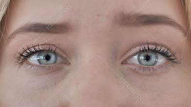 Eyes in Shock, Wondering in Awe