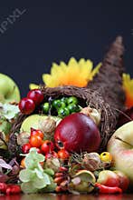 Cornucopia