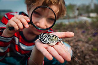 Boy looking at butterfy, kids learning nature