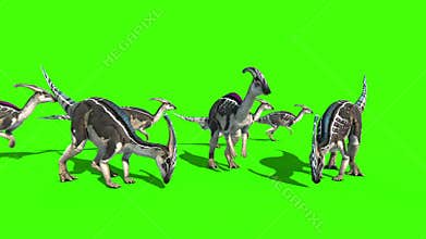 Parasaurolophus Jurassic World Dinosaurs Green Screen 3D Rendering Animation