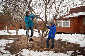 Father and son are cutting apple tree in spring garden