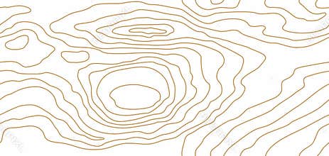 Wood grain texture. Seamless wooden pattern. Abstract line background. Vector illustration
