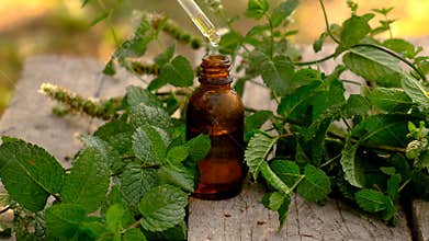Peppermint essential oil in a bottle. Selective focus.