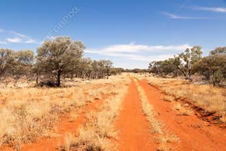 A red dirt track disappearing into the bush between grass and trees