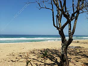 View of Ngantep Beach East Java Indonesia