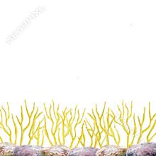 Watercolor illustrations of corals and stones