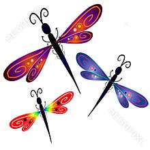 Abstract Dragonfly Clip Art