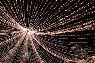 Christmas lights in the city