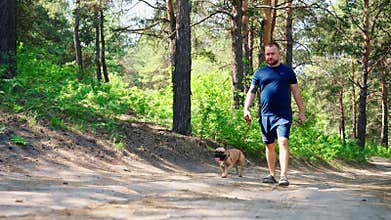 Man walking his pet in a pine forest