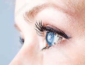 Eye