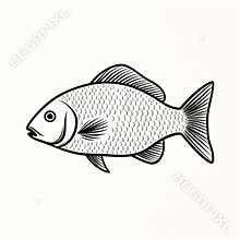 Realistic Stylized Fish: Dark White And Light Black Flat Line Stipple Illustration