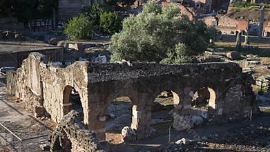 Detail of beauties of Roman Forum in Colosseum park in Rome on sunny day. Roman Forum and remains of ancient Rome