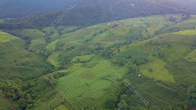 Terraced Rice Field in Chiangmai, Thailand